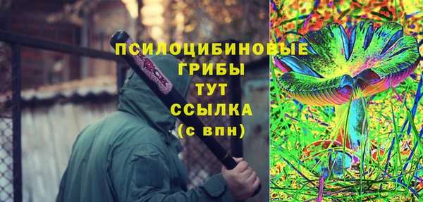 соль ск Гусиноозёрск