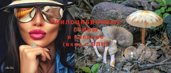 экстази Гусь-Хрустальный