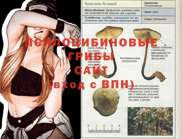 твердый Дмитровск