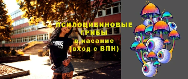 экстази Гусь-Хрустальный