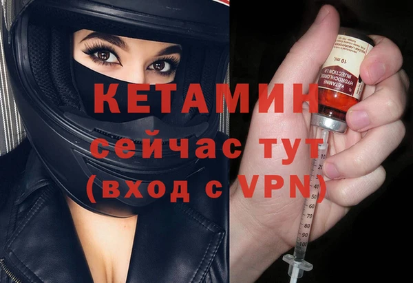 твердый Дмитровск