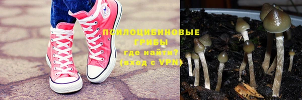 прущие крисы Дмитров