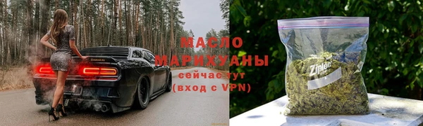 твердый Дмитровск