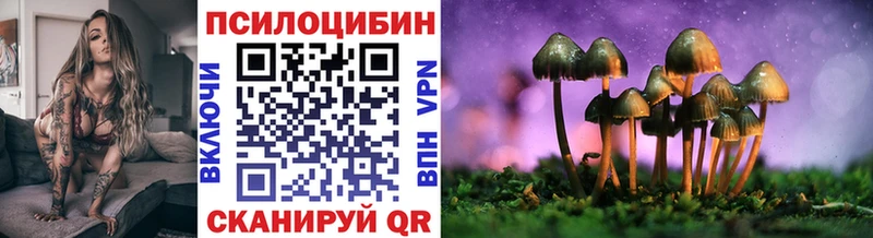 наркота  Кодинск  Псилоцибиновые грибы GOLDEN TEACHER 